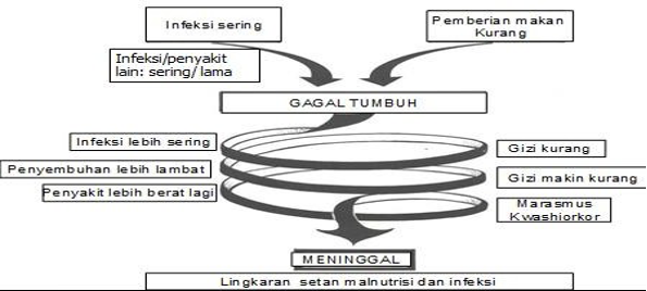 Penyebab Kurang Energi dan Protein