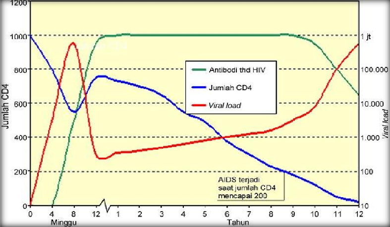 Perjalanan HIV menjadi AIDS